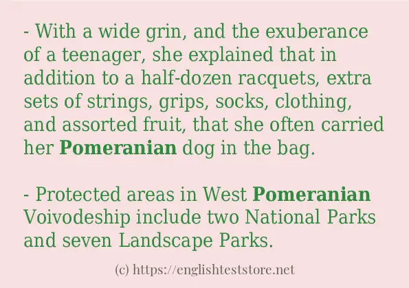 Sentence example of pomeranian