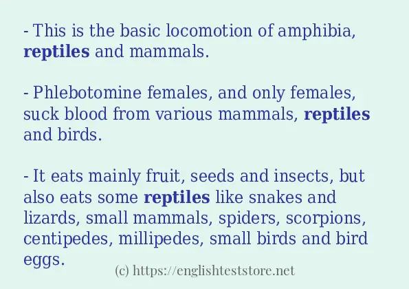 Sentence Example Of reptiles EnglishTestStore Blog
