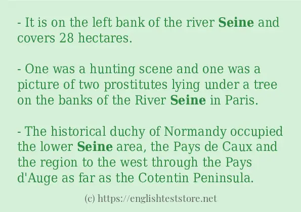 Sentence example of seine