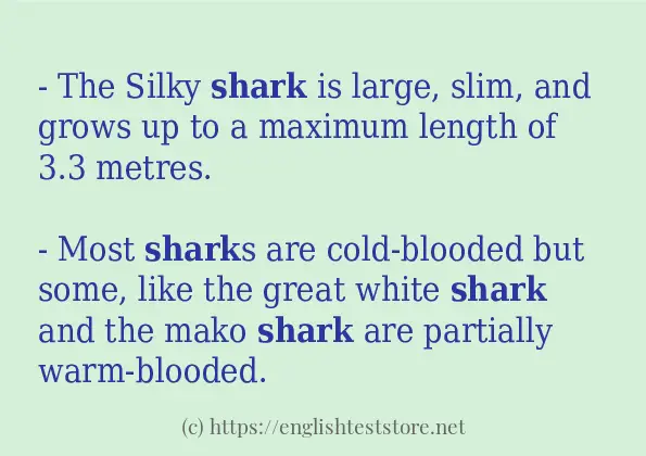 Sentence example of shark