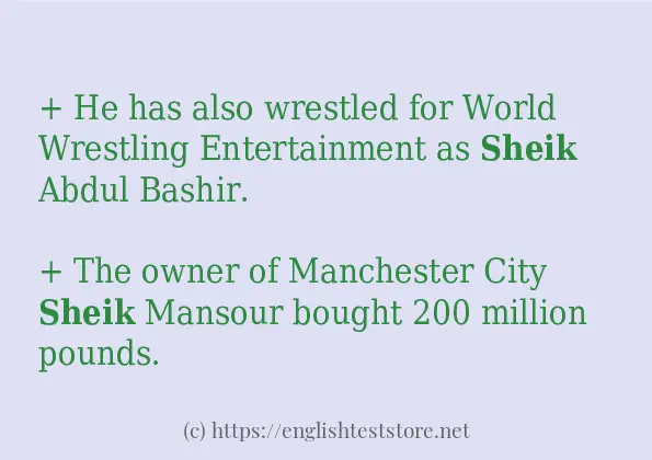 Sentence example of sheik