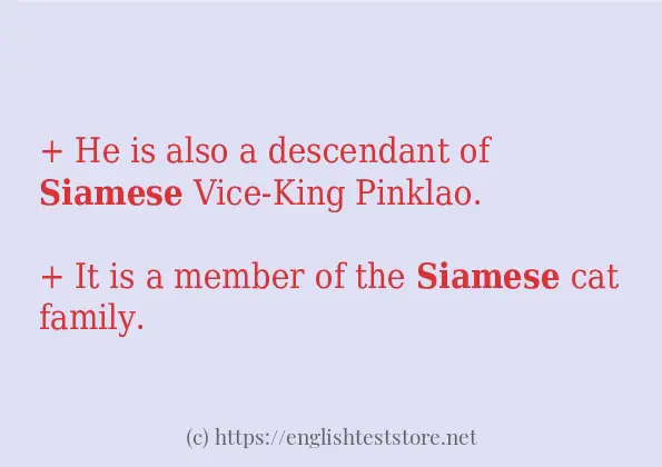 Sentence example of siamese