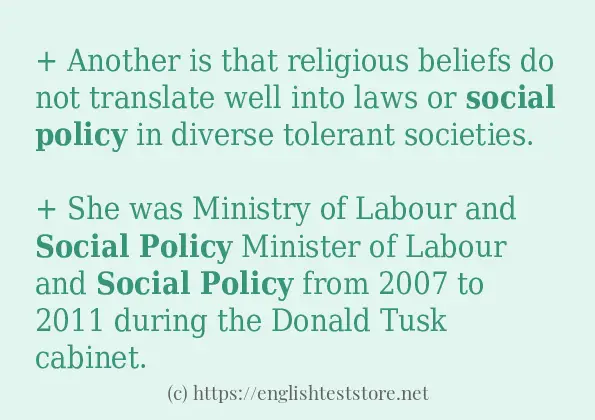 Sentence example of social policy