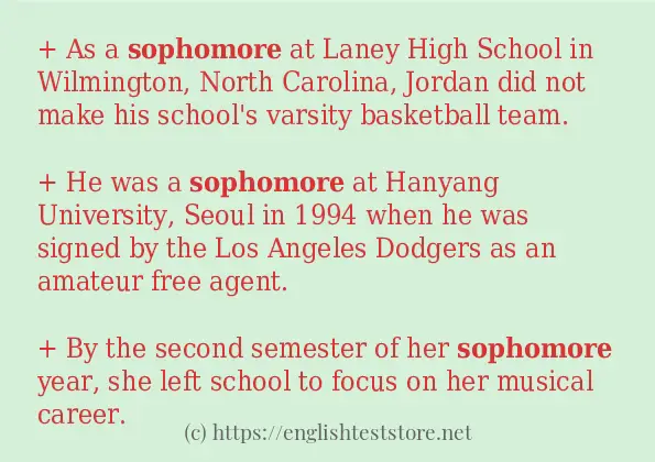 sentence-example-of-sophomore-englishteststore-blog