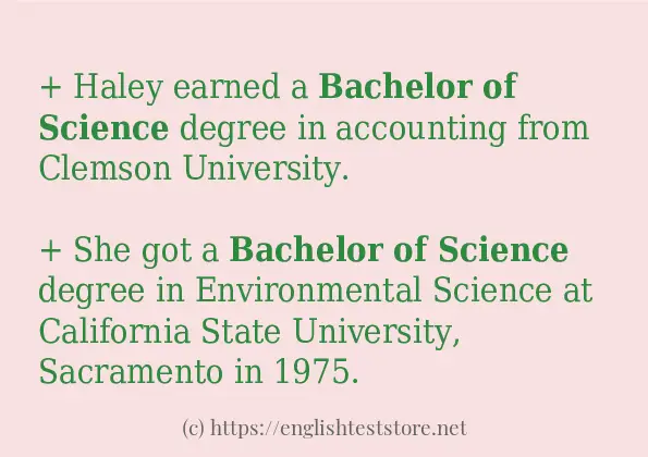 Some example sentences of Bachelor of Science