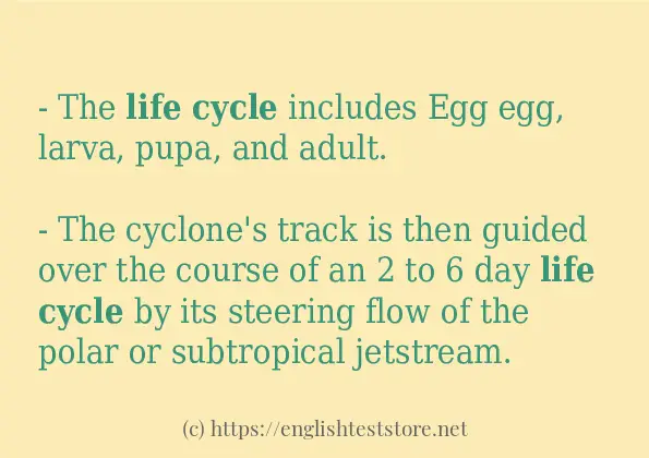 some-example-sentences-of-life-cycle-englishteststore-blog