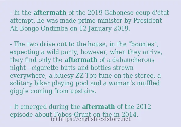 Some example sentences of aftermath