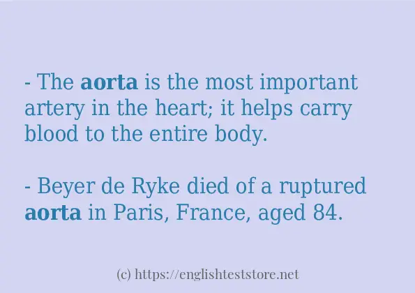 Some example sentences of aorta