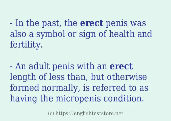 Some example sentences of erect