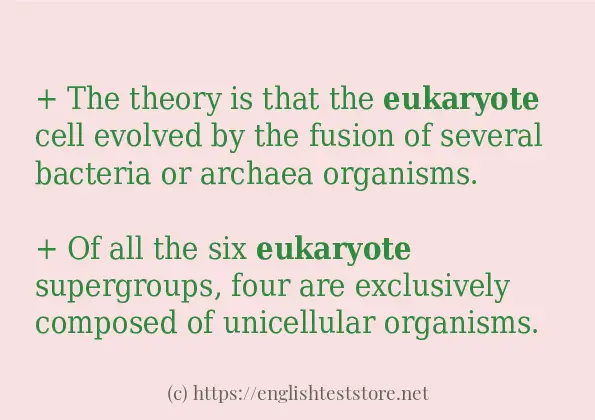 Some example sentences of eukaryote