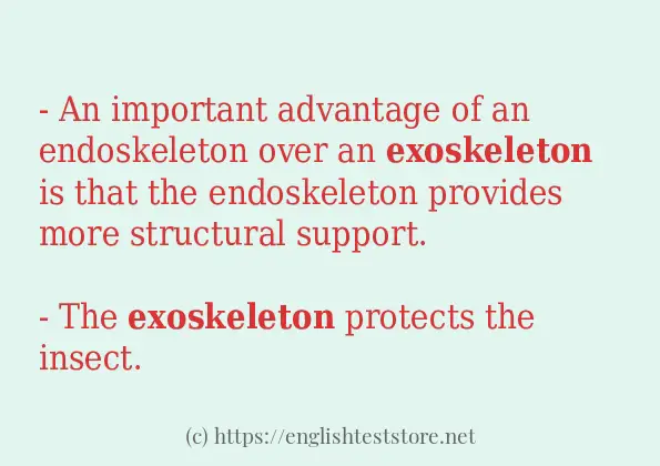 Some example sentences of exoskeleton