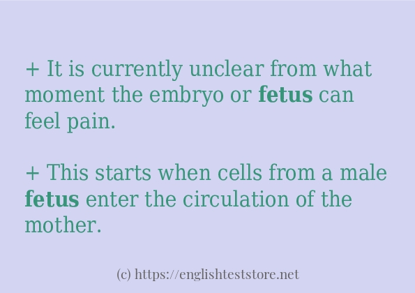 Some example sentences of fetus Some example sentences of fetus