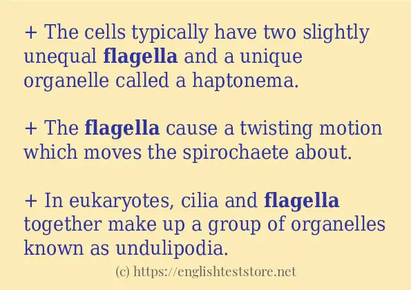 Some example sentences of flagella