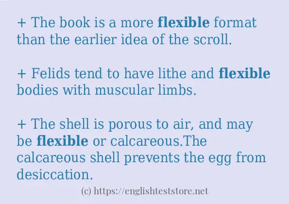 Some example sentences of flexible