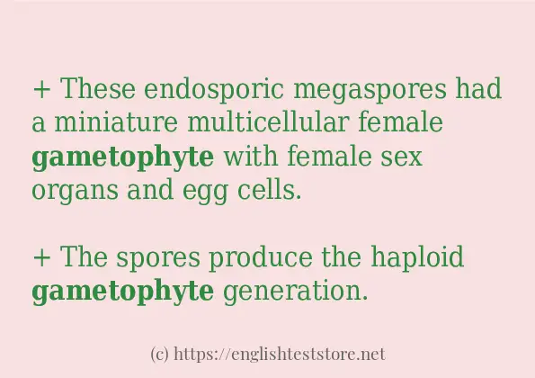 Some example sentences of gametophyte