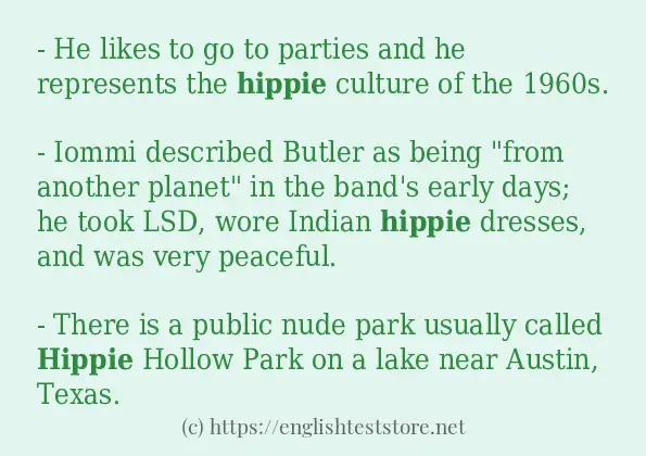 Some example sentences of hippie