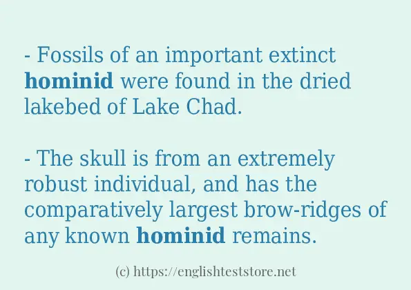 Some example sentences of hominid