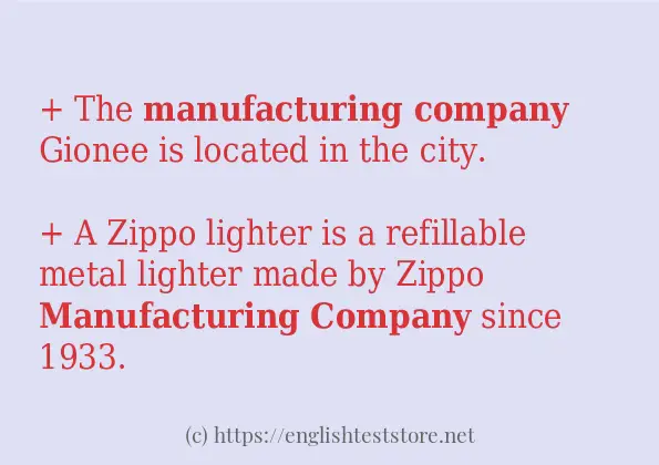 Some example sentences of manufacturing company