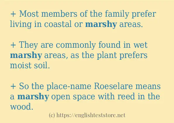 Some example sentences of marshy