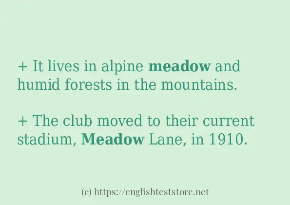 Some example sentences of meadow