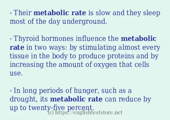 Some example sentences of metabolic rate