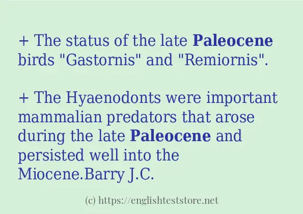 Some example sentences of paleocene
