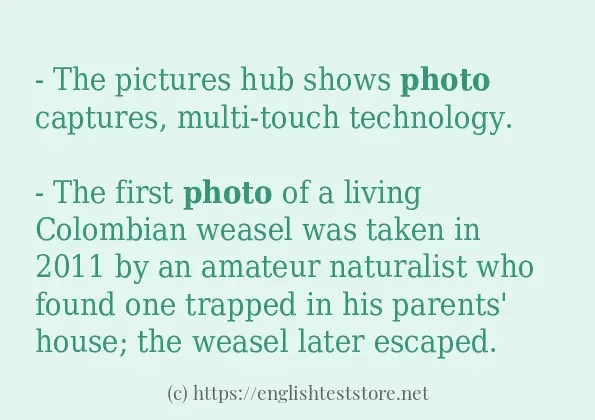 Some example sentences of photo