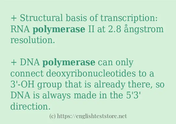 Some example sentences of polymerase