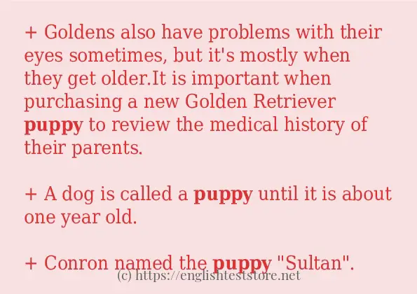 Some example sentences of puppy