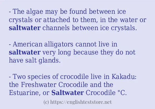 Some example sentences of saltwater