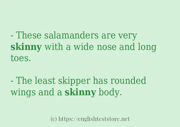 Some example sentences of skinny