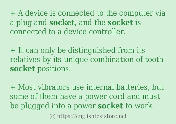 Some example sentences of socket