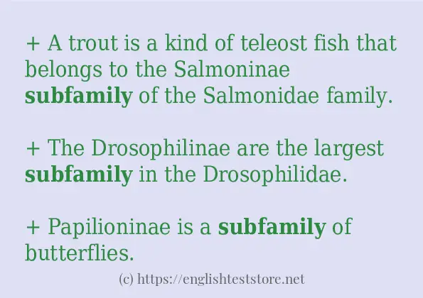 Some example sentences of subfamily