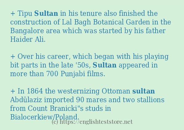 Some example sentences of sultan