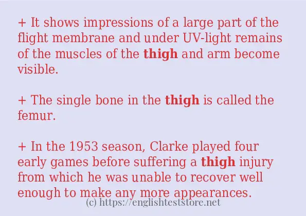 Some example sentences of thigh