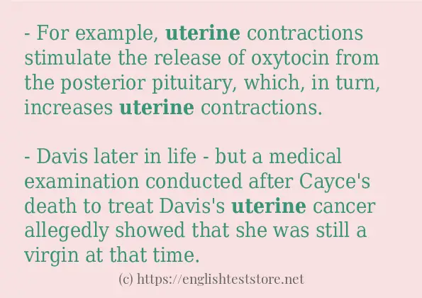 Some example sentences of uterine