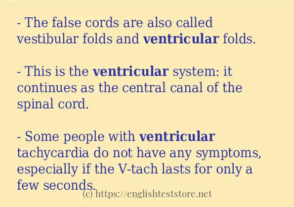 Some example sentences of ventricular