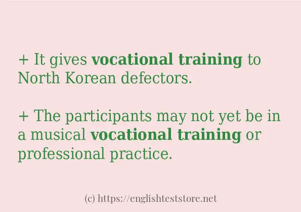 Some example sentences of vocational training