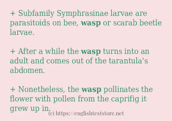 Some example sentences of wasp