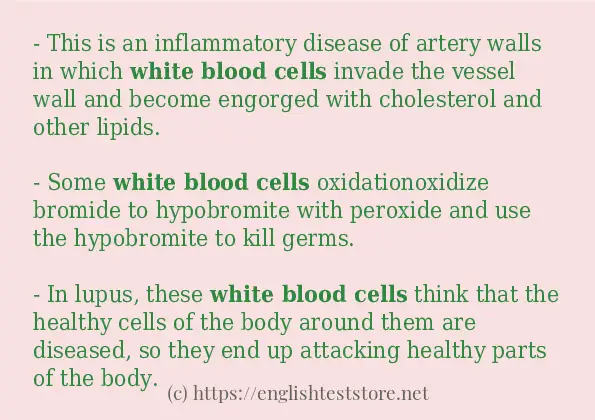 Some example sentences of white blood cells