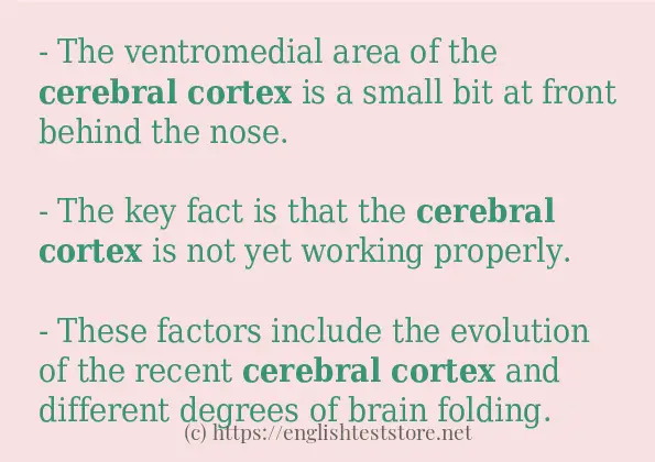 Some in-sentence examples of cerebral cortex