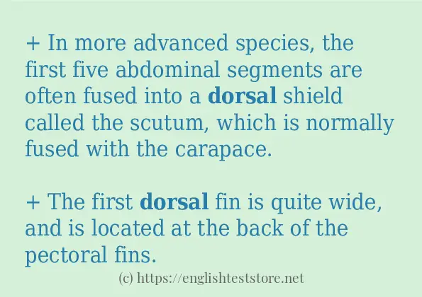 Some in-sentence examples of dorsal Some in-sentence examples of dorsal