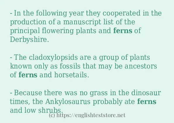 Some in-sentence examples of ferns