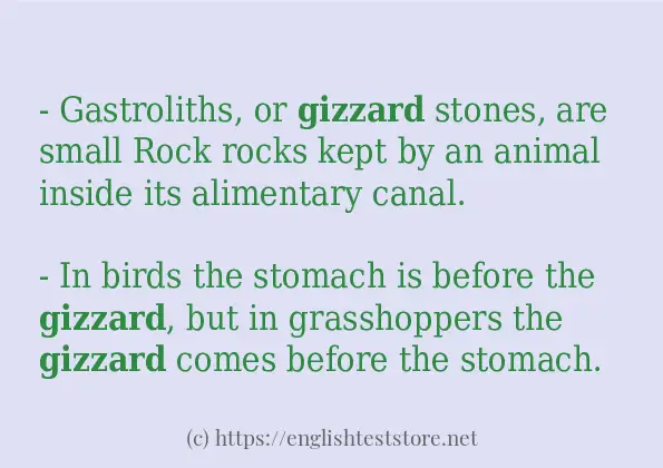 Some in-sentence examples of gizzard