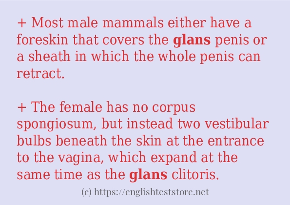 Some in-sentence examples of glans