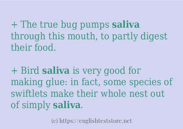 Some in-sentence examples of saliva