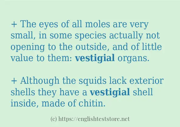 Some in-sentence examples of vestigial Some in-sentence examples of vestigial