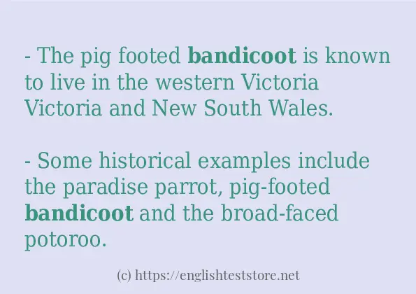 Some sentences in use of bandicoot