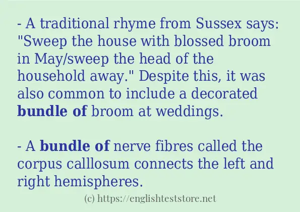 Some sentences in use of bundle of