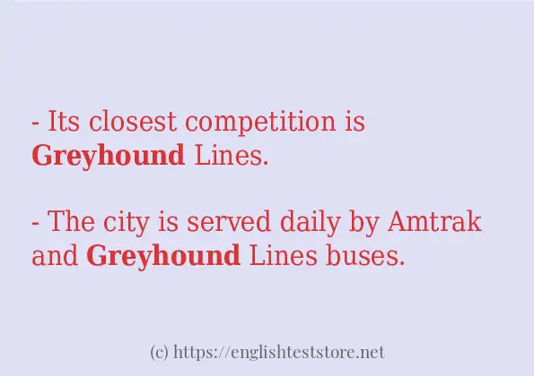 Some sentences in use of greyhound